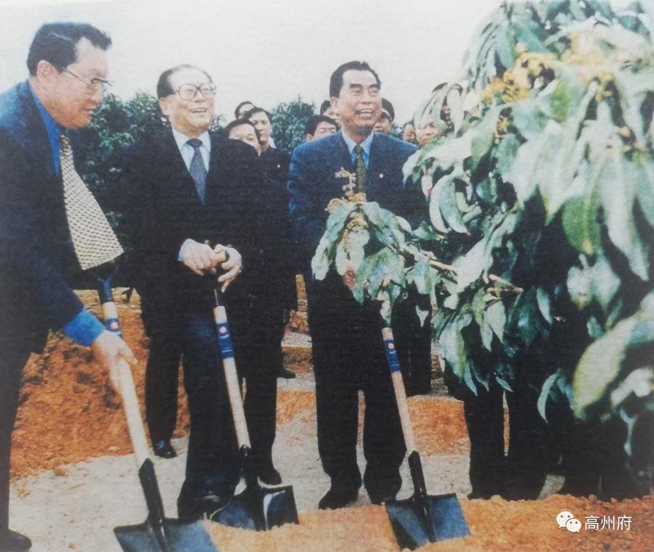 yabocom（中国）官方网站电保-中国荔枝博物馆智慧用电改造